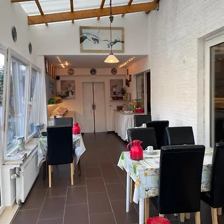 Nordlicht 3*